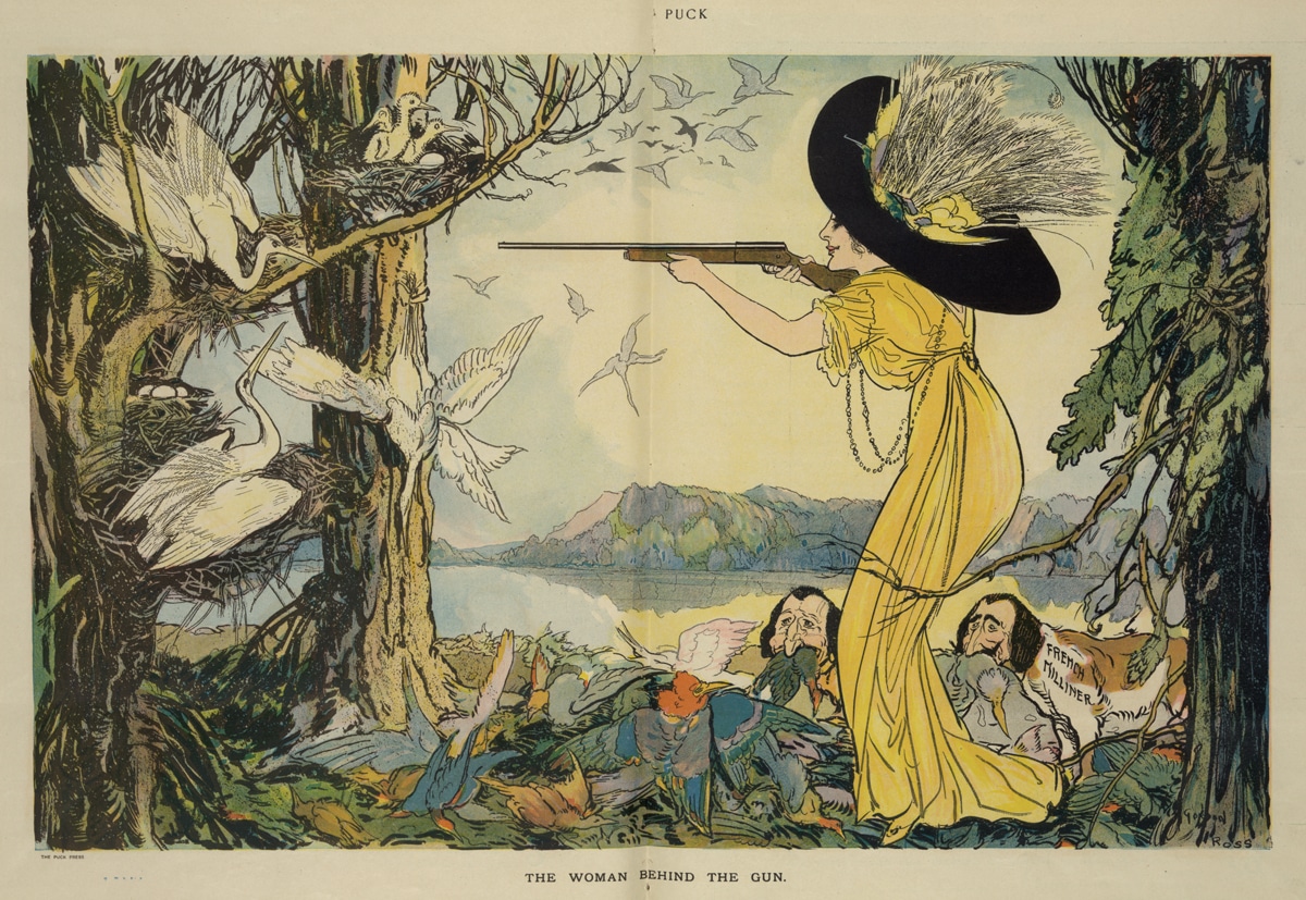 Illustration shows a woman, possibly Coco Chanel, wearing a large hat with feathers, shooting at large white birds with a rifle; two dogs labeled "French Milliner" place the dead birds on a pile at her feet.